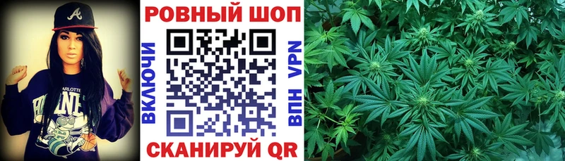 Где продают наркотики Оса MDMA  Мефедрон  Codein  Псилоцибиновые грибы  КОКАИН  Канабис  ГАШИШ  АМФЕТАМИН  СОЛЬ 