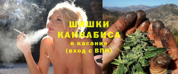 PSILOCYBIN Гусев