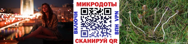 Псилоцибиновые грибы мицелий  Оса 