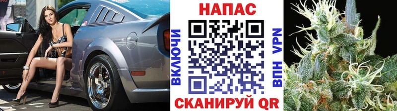 shop какой сайт  купить  цена  Оса  МАРИХУАНА марихуана 